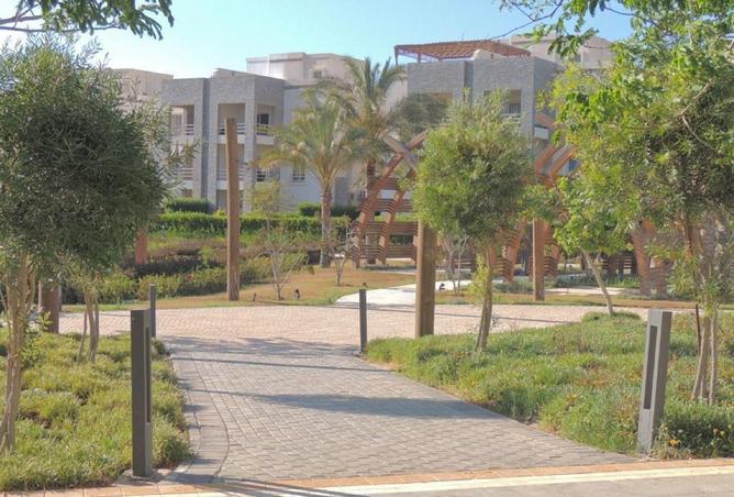 62896562 - الصورة الرئيسية للعقار