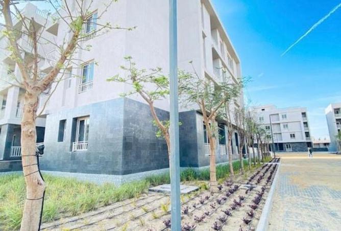 8629407 - صورة العقار 3