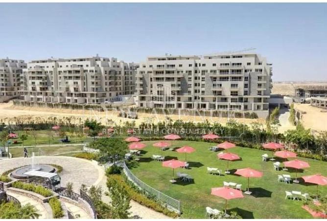 99114385 - Property Image 3