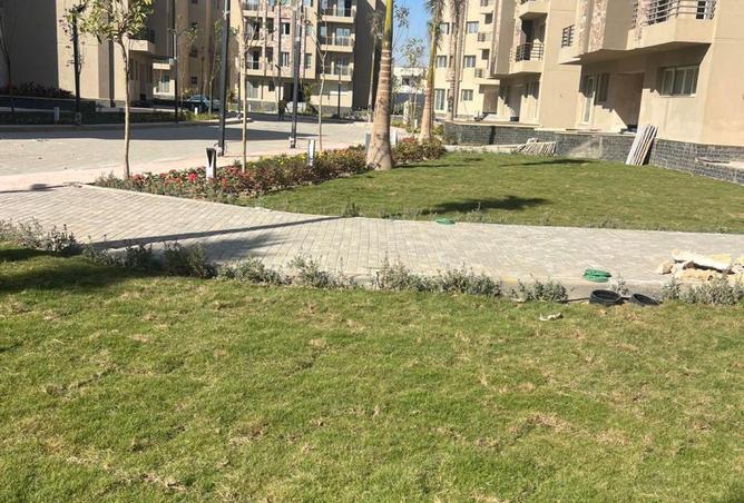 67480548 - صورة العقار 3