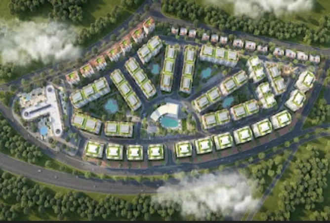 112433842 - Property Image 3