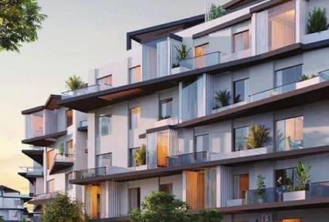 55002502 - صورة العقار 3