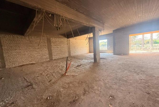 8552308 - صورة العقار 3