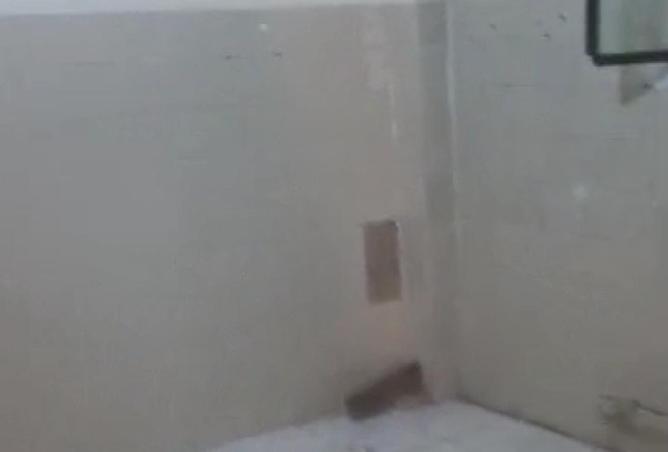 8600123 - صورة العقار 2