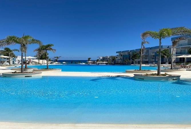 55996918 - Property Image 3