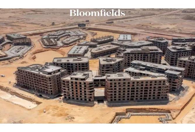 53718954 - صورة العقار 3