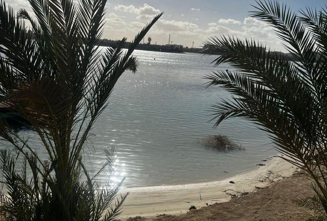 58735772 - Property Image 2