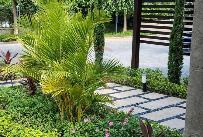 57252835 - Property Image 3