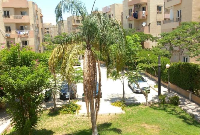 69560747 - صورة العقار 3