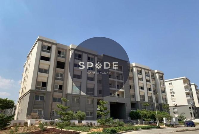 58999527 - صورة العقار 2