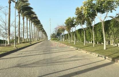 فيلا - 3 غرف نوم - 3 حمامات للبيع في نيو جيزة - طريق مصر اسكندرية الصحراوي - مدينة 6 أكتوبر - الجيزة
