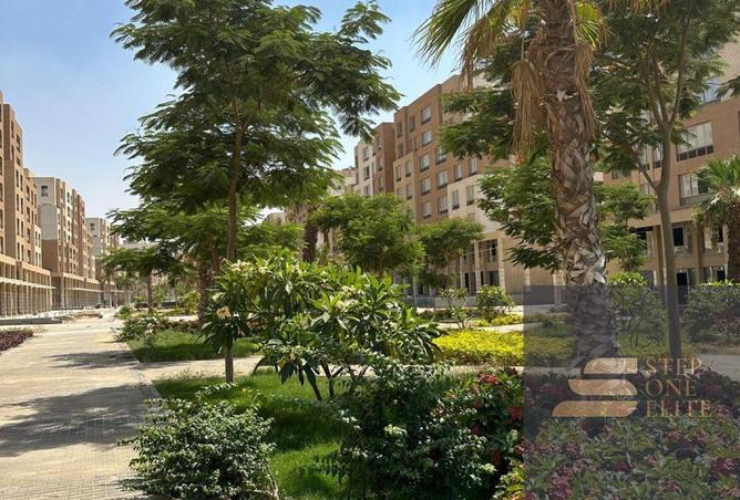 8608075 - صورة العقار 2