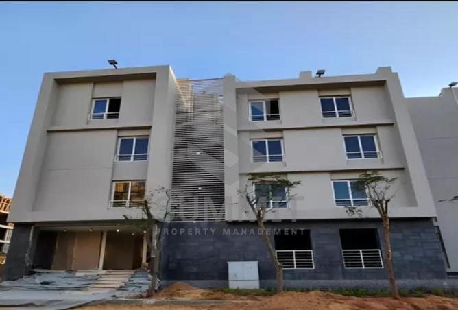 64384162 - Property Image 3