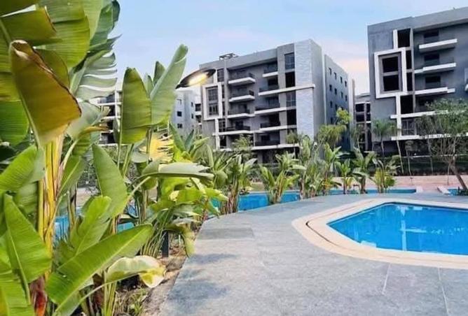 63133697 - صورة العقار 3