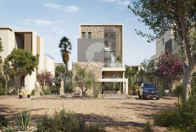 58242955 - Property Image 3