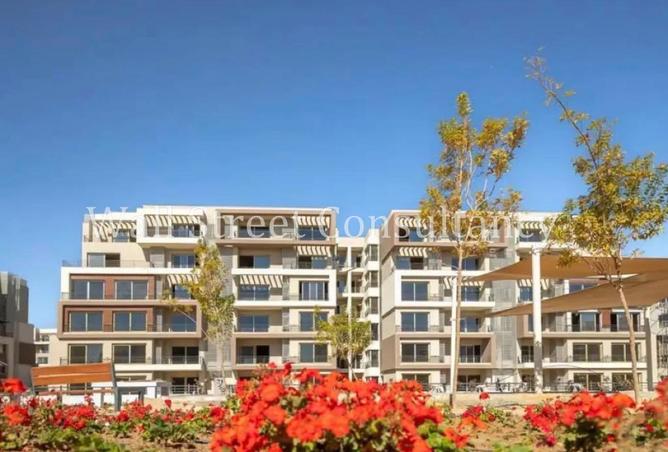 107411552 - Property Image 2