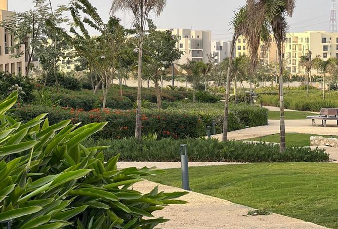 8411282 - صورة العقار 3