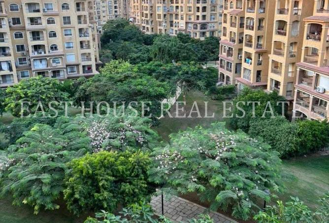 54492831 - الصورة الرئيسية للعقار