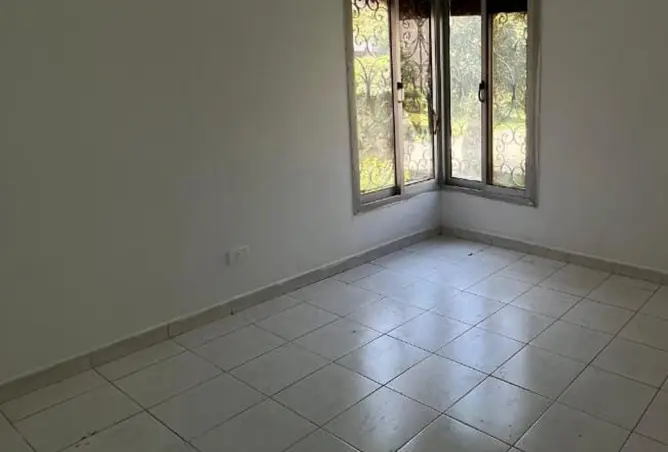 116753861 - Property Image 3
