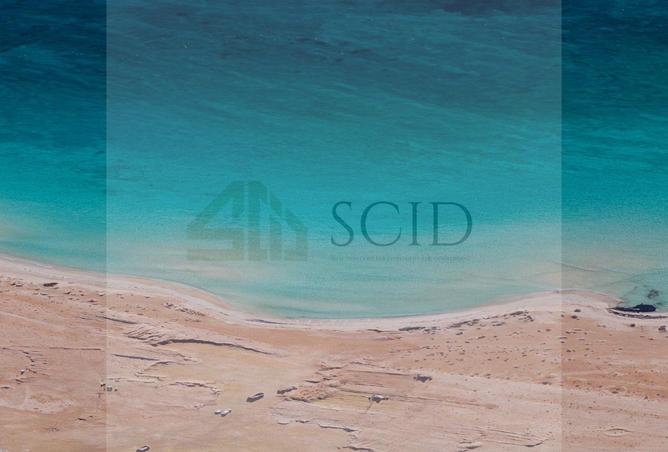 97715645 - صورة العقار 2