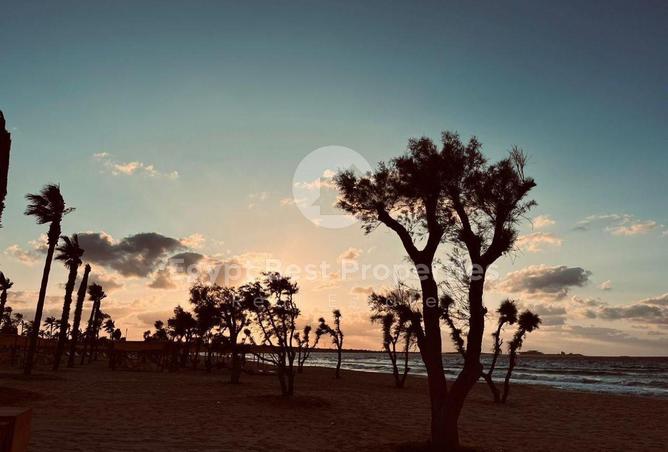 70090696 - Property Image 2