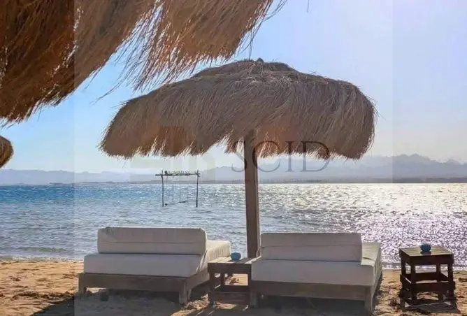 113537598 - صورة العقار 3