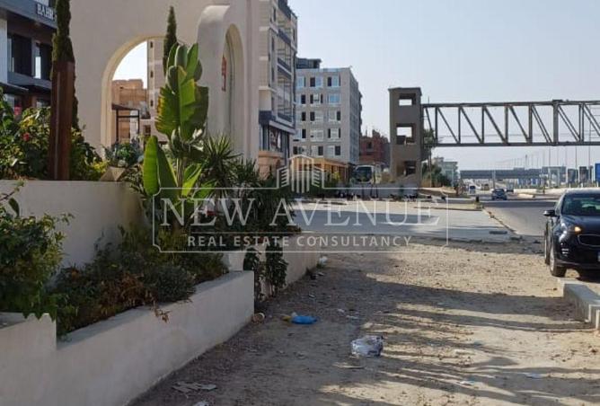 99112532 - Property Image 3