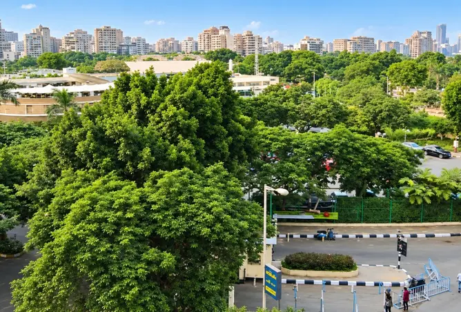 107117454 - صورة العقار 3