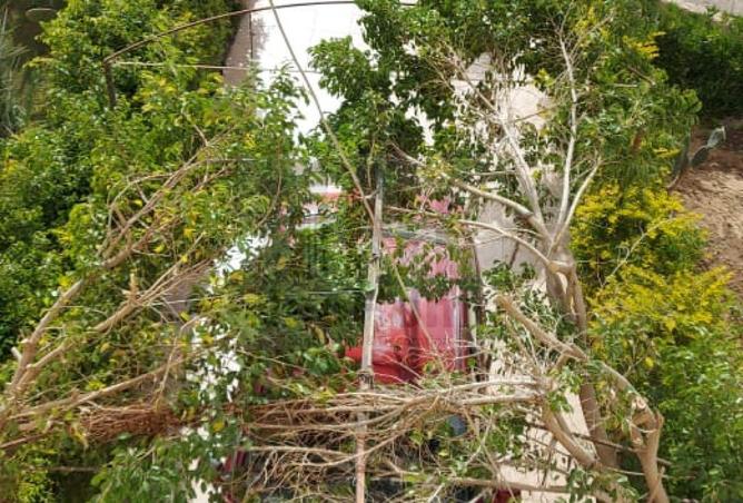 88967196 - الصورة الرئيسية للعقار