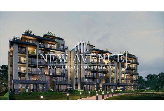 62405666 - Property Image 2