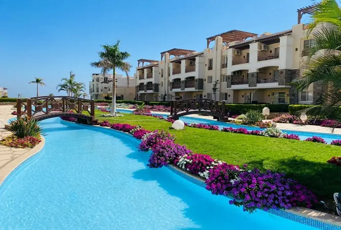 110471532 - Property Image 2