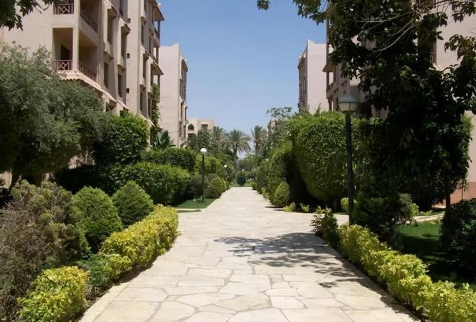 86676622 - Property Image 3