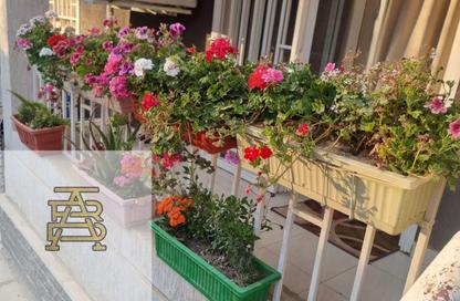 Apartment - 3 Bedrooms - 2 Bathrooms for sale in B10 - Madinaty - Cairo