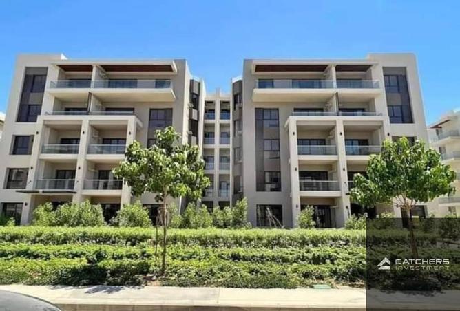 66435563 - Property Image 3