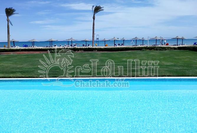 64898154 - Property Image 2