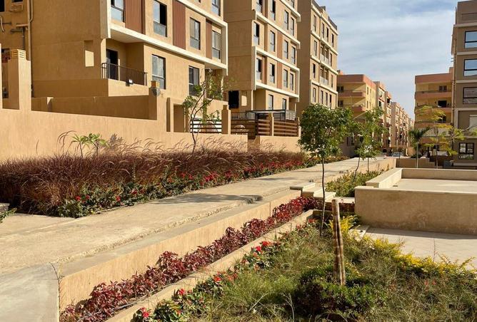 65910295 - الصورة الرئيسية للعقار