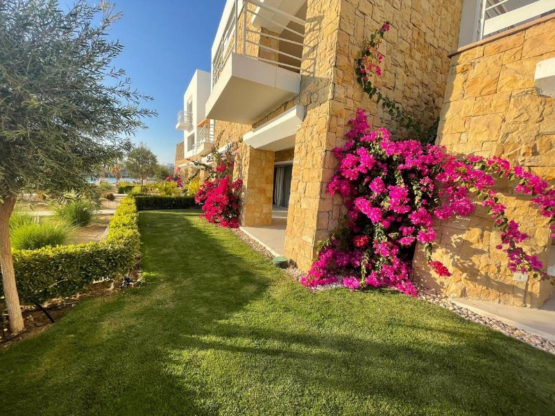 3BR Apartment | Ground Floor | Swan Lake Gouna thumbnail