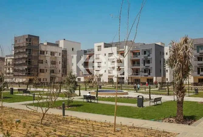 113536996 - Property Image 3