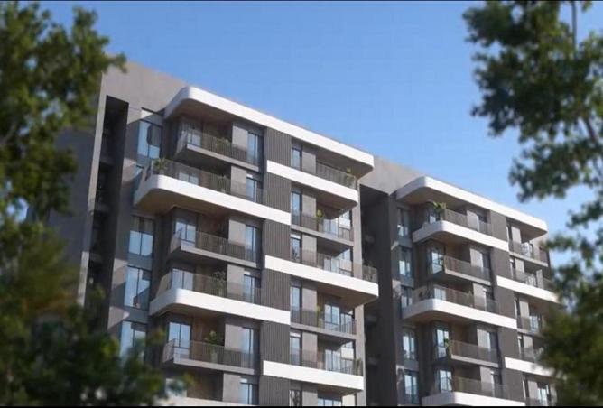 55254442 - Property Image 3