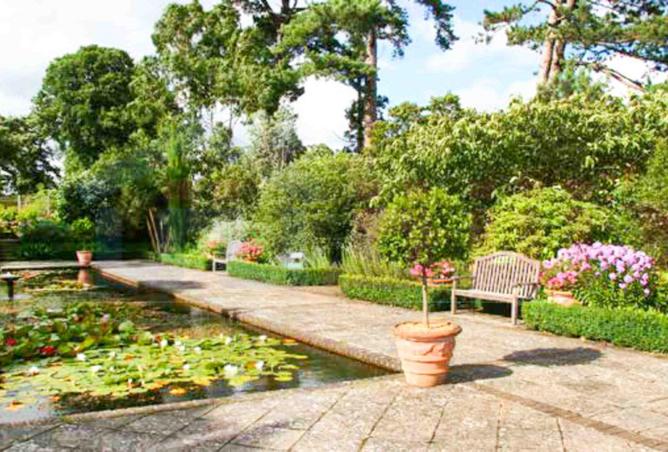 64891418 - صورة العقار 3