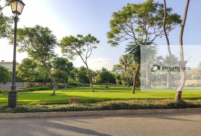 113825676 - صورة العقار 3