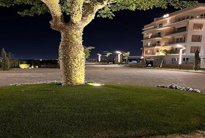 8717849 - صورة العقار 3