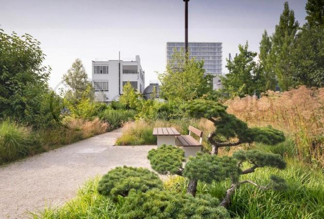 68006238 - صورة العقار 2