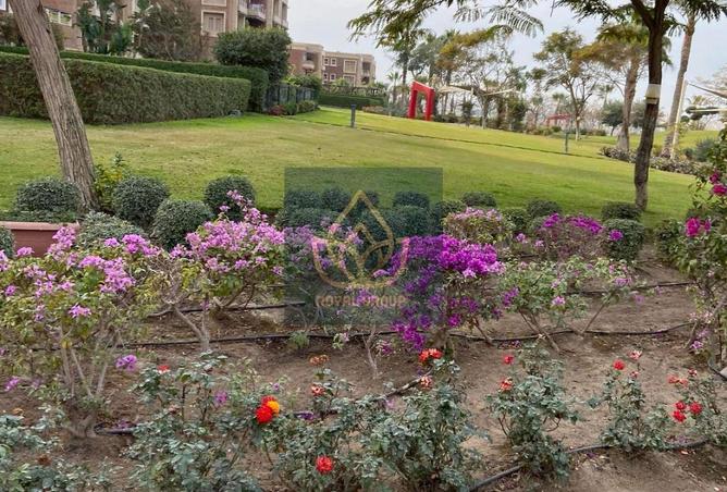 66437684 - الصورة الرئيسية للعقار