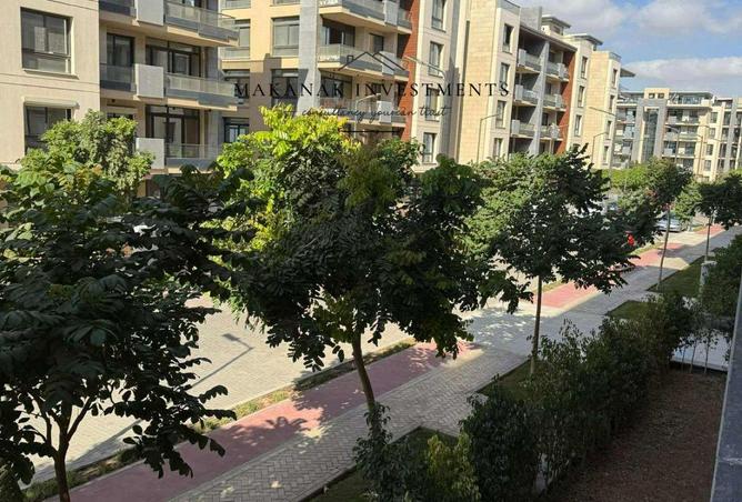 52464185 - Property Image 3