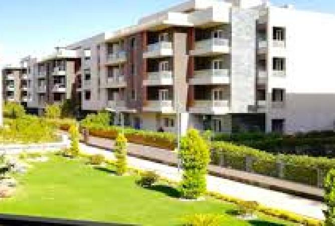 8463860 - صورة العقار 2