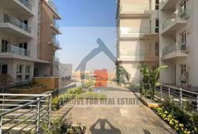 61444906 - Property Image 3