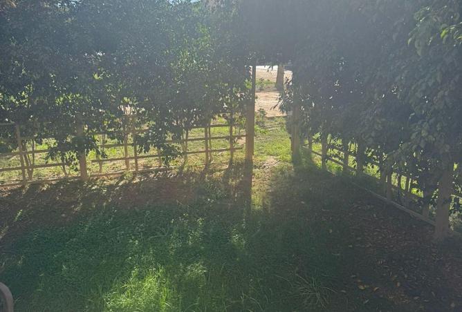 65659274 - Property Image 3