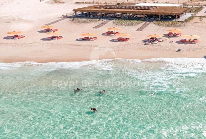 66174946 - صورة العقار 2