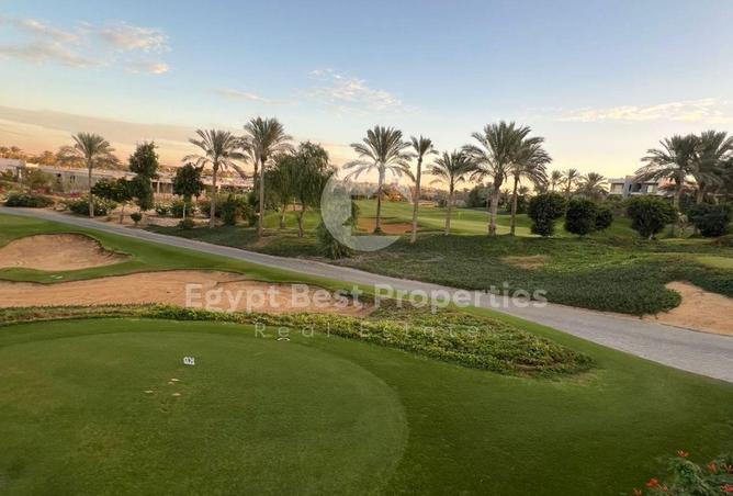 98834895 - صورة العقار 3